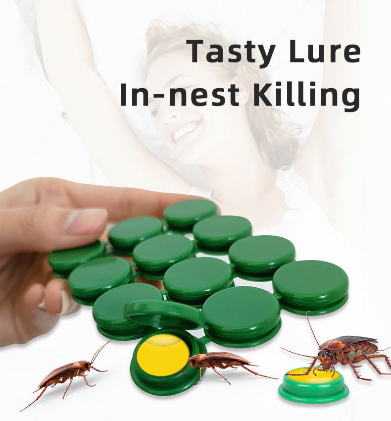 Roach Killer Home Defense Kit